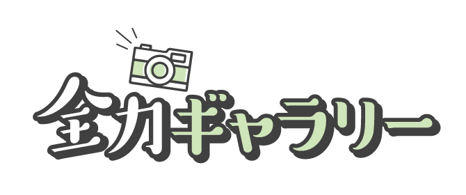 全力ギャラリー
